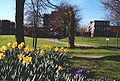 Campus, looking towards Arts D