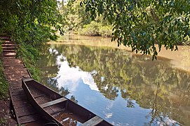 At Don Enerique Lodge, Yaboti, Misiones, Argentina, 10th, Jan 2011 - Flickr - PhillipC.jpg