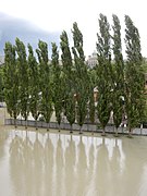 Bern Hochwasser Juli 2021 07.jpg