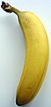 bananas contain some potassium