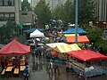 Garlic Festival 2008: View from Prisma Market window