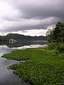 Lake in Gamboa, Panama