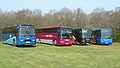 A photograph showing all four Southern Vectis coaching fleet liveries. From left to right, 592 in the new Moss Motors livery, 594 wearing the West Wight scheme, 523 wearing the new "jaffa cake" Foutain Coaches style, and 590 wearing a one-off paint job for the Island Coaster tourist service. From left to right, the coaches' details are as follows: 592 Compton Chine (G358 GJT), a Volvo B10M-62/Plaxton Paramount 3200, 594 Brook Ledge (R812 NUD), a Volvo B10M-62/Plaxton Premiere 350, 523 Nettlestone Point (TJI 9462), a DAF MB230/Van Hool Alizee and 590 Ladder Chine (XXI 8502), a Volvo B10M/Plaxton Premiere 350.}}