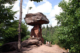 15.6.14 Teufelstisch (Hinterweidenthal)