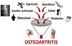 Etiología Osteoartritis.png