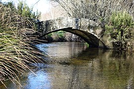 Ponte Romana de Peireses (4).jpg