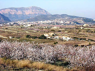 Vista des de Benimarco