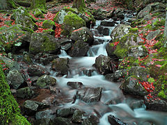 Stream, France