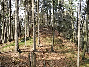 Burgstall Spitzenberg - Ansicht des Burghügels aus südlicher Richtung (April 2011)