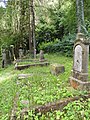 Deutsch: Jüdischer Friedhof in Bleicherode, Thüringen