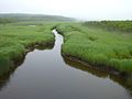 Marsh kiritappu wetland Japan