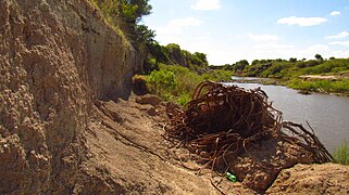 Paraná, Entre Ríos, Argentina - panoramio (165).jpg