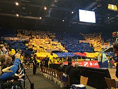 Choreo EWE Baskets Oldenburg Playoffs 2014.jpg