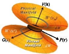 YinYang Manifolds.gif