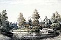 English: A Swan pond in 1888 Suomi: Kaisaniemen joutsenlammikko 1888