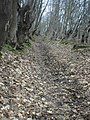 Narrow Pass Steinweg Leading to the Wartburg