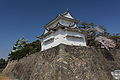 Southwest Turret with Sakura