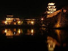 Imabari Castle at night.JPG