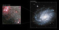 This image composite shows the spiral galaxy NGC 300, as well as the position of the stellar-mass black hole in the galaxy.