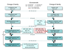 EFA to Eicosanoids.svg