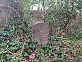 wikimedia_commons=File:BB30 Boundary Stone, Whydown.jpg