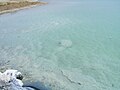 Dead Sea, Israel, near En Boqeq