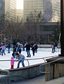 Galivan Center skating rink