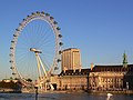 London Eye and County Hall in evening light