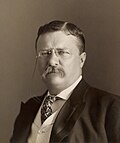 Thumbnail for File:Theodore Roosevelt by the Pach Bros.jpg