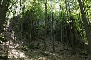 Abschnittsbefestigung Kuhfels - Ansicht der Spornspitze des Naturdenkmals Kuhfelsens (August 2013)