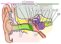 Farsi numbers