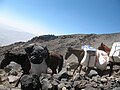 Horses carring bagage(around 4000m)