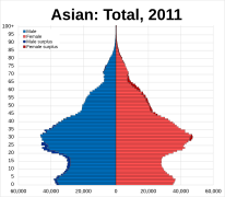 Asian population pyramid - UK 2011.svg