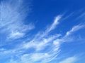 Cirrus uncinus with Aeroplane