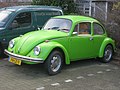 Beetle