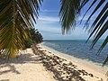 Half Moon Caye