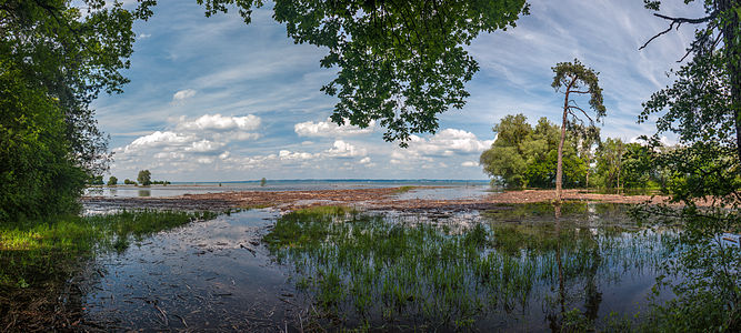 High tide in Rheinholz, in the background the German Bodensee shore © Johannes.gr