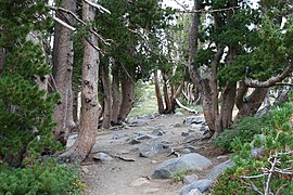 Iron Mountain, California