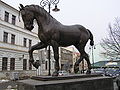 Stallion Ardo, in Košice, Slovakia - a model for the Wenceslas Monument