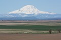 Mount Adams (Washington)