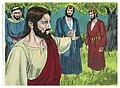 Matthew 26:36-46 Jesus' Prayer at Gathsemene