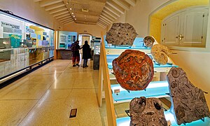 !993 wurde das Museum der Natur un des Menschen eröffnet.- 31.jpg