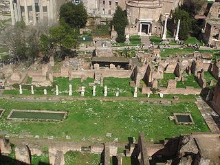 Dal Palatino / From Palatine Hill.