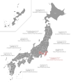 Minami-Kantō Proportional Block