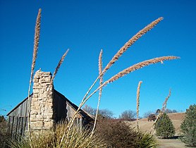 Pioneer house