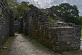 Hallway walls on top of structure B5, Altun Ha archeological site, Belize The production, editing or release of this file was supported by the Community-Budget of Wikimedia Deutschland. To see other files made with the support of Wikimedia Deutschland, please see the category Supported by Wikimedia Deutschland. العربية ∙ বাংলা ∙ Deutsch ∙ English ∙ Esperanto ∙ français ∙ magyar ∙ Bahasa Indonesia ∙ italiano ∙ 日本語 ∙ македонски ∙ മലയാളം ∙ Bahasa Melayu ∙ Nederlands ∙ português ∙ русский ∙ slovenščina ∙ svenska ∙ українська ∙ தமிழ் ∙ +/−