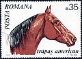 Stamp of Romania. 1970.Trapas american