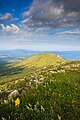 * Nomination Aerial view from mountain peak.Šiljak, Rtanj, Serbia --Nino Verde 18:05, 17 August 2024 (UTC) * Promotion  Support Good quality. --Екатерина Борисова 01:08, 18 August 2024 (UTC)