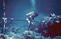 Coral drilling in the reefs of Bermuda