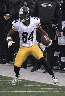 Antonio Brown 2015.jpg